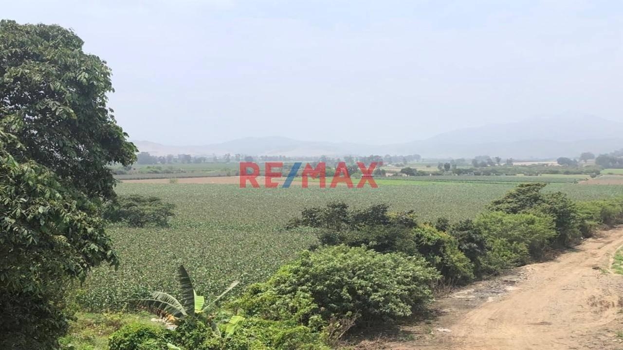 terreno - venta - Area: 87600.00m2 - Venta De Terreno En Potencial Zona Almacenera El Hatillo, Chancay, Huaral