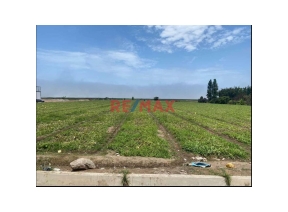 terreno - venta - Area: 11700.00m2 - Venta De 1.17 Has En Chancay A 2Km Del Puerto $130 Por M2 - Sector Las Salinas