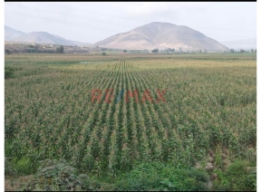 terreno - venta - Area: 26326.00m2 - Venta De Terreno En Chancay