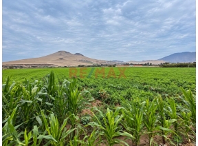terreno - venta - Area: 18750.00m2 - Terreno En Venta – Chancayllo 18,750 M2